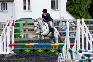 Class 3 -  Fences not above 2'3